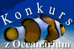 Konkurs w oceanarium