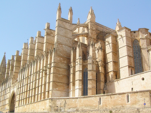 Katedra w Palmie