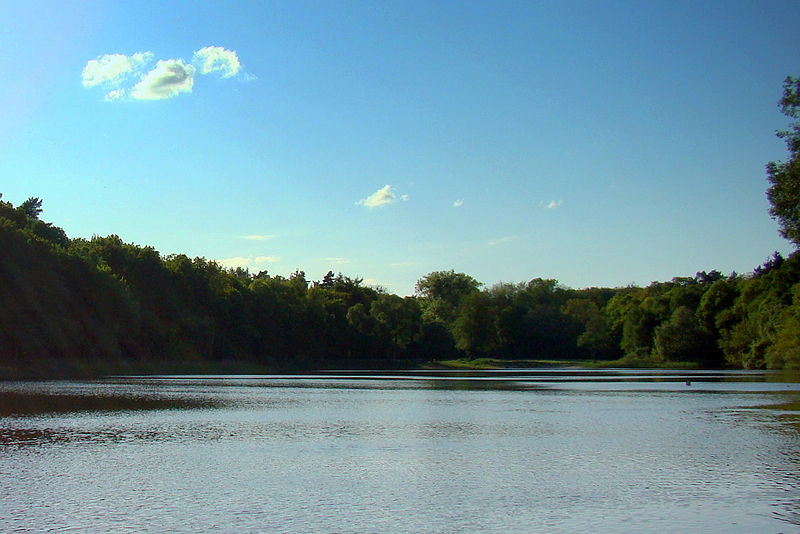 Jezioro Goplany (źródło: Wikipedia)