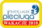 wakacje w szczecinie 2010