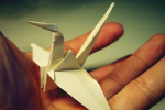 Warsztaty Origami