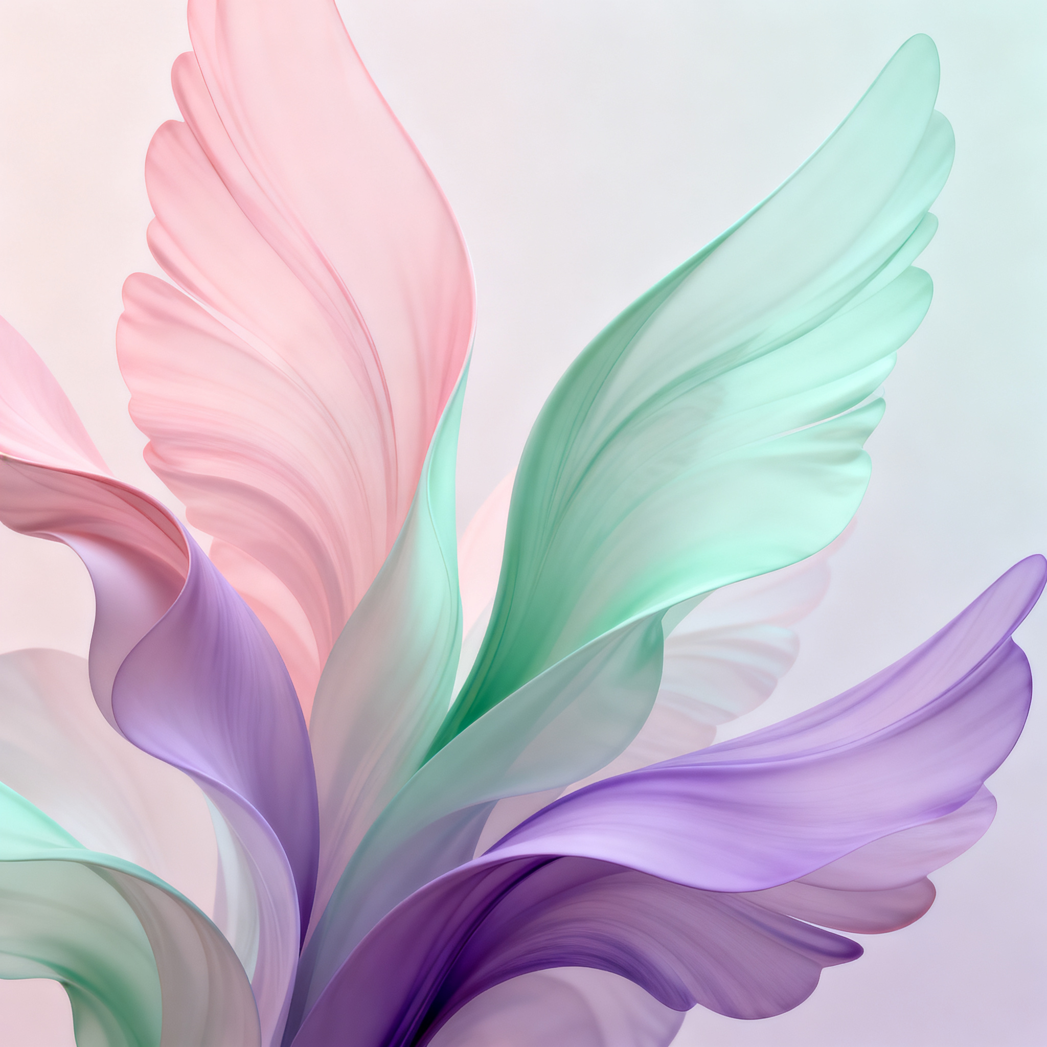 Akcja „Paczka dla zwierzaczka”