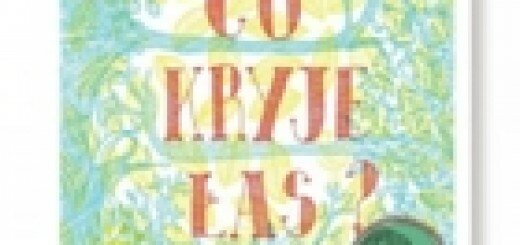 co kryje las2