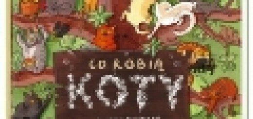 co robia koty2
